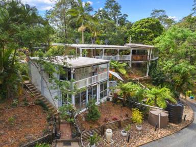 House For Sale - QLD - Kin Kin - 4571 - SECLUDED, GETAWAY WITH VIEWS  (Image 2)