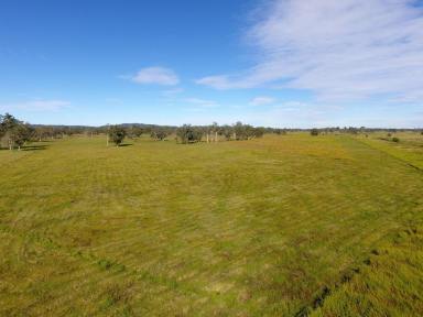 Livestock For Sale - NSW - Marom Creek - 2480 - DROUGHT PROOF CATTLE PROPERTY  (Image 2)