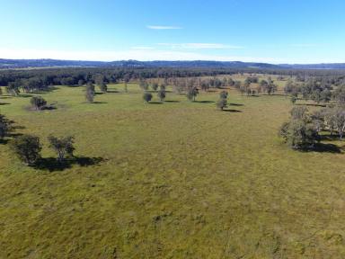Livestock For Sale - NSW - Marom Creek - 2480 - DROUGHT PROOF CATTLE PROPERTY  (Image 2)