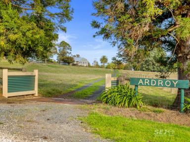 Mixed Farming Sold - VIC - Mardan - 3953 - 'ARDROY' - THE CAMPBELL HOMESTEAD  (Image 2)