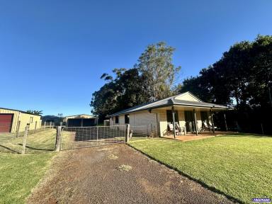 House For Lease - QLD - Memerambi - 4610 - Well Maintained 3 Bedroom, 2 Bathroom Home  (Image 2)