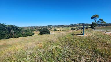 Residential Block For Sale - SA - Mount Barker - 5251 - Grand plans start with grand views!  (Image 2)