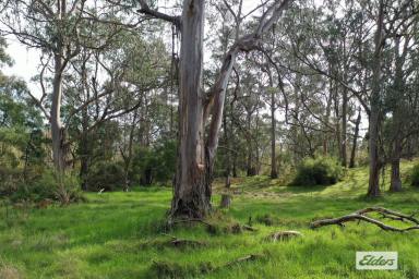 Acreage/Semi-rural For Sale - VIC - Woodside - 3874 - Endless Possibilities  (Image 2)