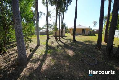 House Leased - QLD - Cordalba - 4660 - Beautiful Family Home  (Image 2)