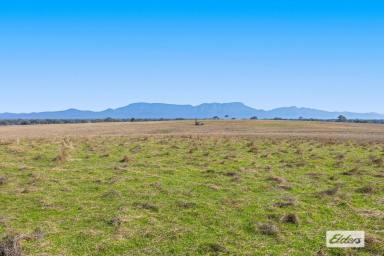 Other (Rural) Sold - VIC - Moyston - 3377 - Grampians Views - Lifestyle, Livestock, Cropping (80 acres)  (Image 2)