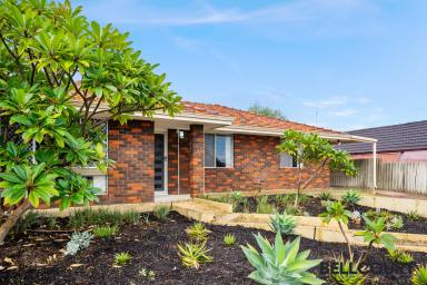 House Sold - WA - Spearwood - 6163 - Potential Plus!!!  (Image 2)