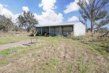 Lifestyle Sold - NSW - Koraleigh - 2735 - River Haven - Murray River frontage  (Image 2)