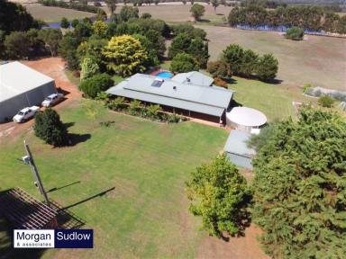Lifestyle Sold - WA - Dingup - 6258 - DARE TO DREAM - RURAL PARADISE  (Image 2)