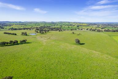 Mixed Farming Sold - NSW - Cowra - 2794 - PRIME, ALL ARABLE 264 ACRES*, 10MINS FROM THE CBD WITH A BUILDING ENTITLEMENT!  (Image 2)