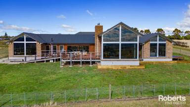 House Sold - TAS - White Hills - 7258 - Architectural Elegance on 17 Acres  (Image 2)