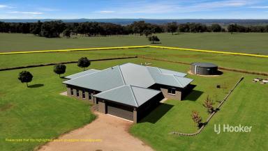 Other (Rural) Sold - NSW - Inverell - 2360 - SOLD BY LJ HOOKER INVERELL  (Image 2)