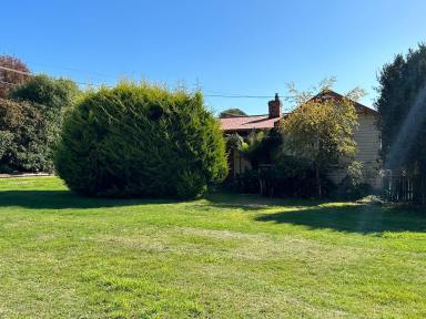 House Sold - TAS - Deloraine - 7304 - Large Family Home  (Image 2)