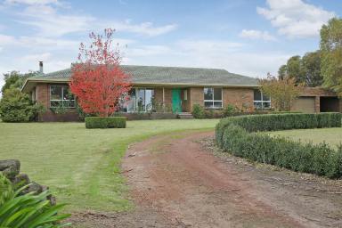 Lifestyle Sold - VIC - Irrewillipe East - 3249 - ATTRACTIVE QUALITY COLAC DISTRICT PROPERTY  (Image 2)