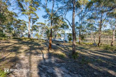 Residential Block Sold - TAS - Apollo Bay - 7150 - Stunning Waterfront Reserve Acreage!  (Image 2)