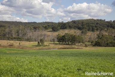 Residential Block For Sale - NSW - Big Hill - 2579 - Blank Canvas  (Image 2)
