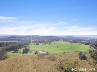 Residential Block For Sale - NSW - Big Hill - 2579 - Blank Canvas  (Image 2)