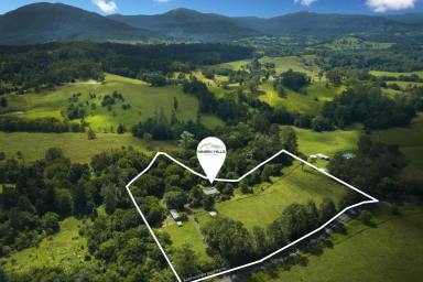 House Sold - NSW - Nimbin - 2480 - Perfect Self-Sufficient Hobby Farm – Look No Further!  (Image 2)