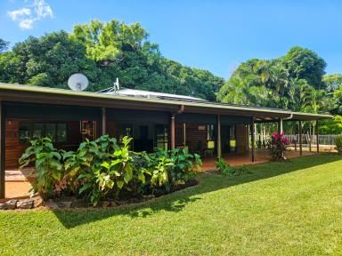 House For Sale - QLD - Cooktown - 4895 - Large House, with 4 Bay Shed, Pool on 2 Acres  (Image 2)