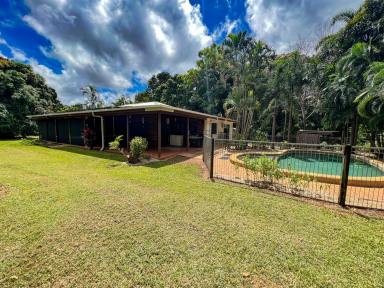 House For Sale - QLD - Cooktown - 4895 - Lifestyle Property  (Image 2)