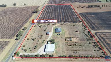 Lifestyle Sold - VIC - Mundoona - 3635 - Self Sufficient Country Living  (Image 2)