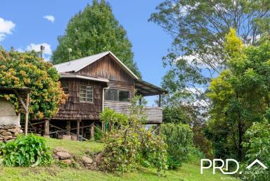 House Sold - NSW - Larnook - 2480 - 4 BED CRAFTED TIMBER HOME + STUDIO IN ENVIROMENTALLY FRIENDLY COMMUNITY  (Image 2)