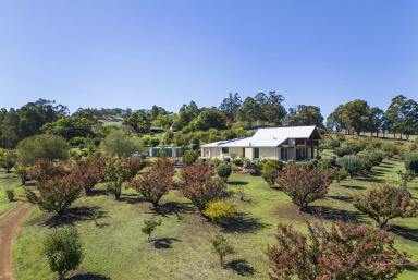 House Sold - WA - Bridgetown - 6255 - SOPHISTICATED 4 x 2 HOME ON BOUNTIFUL 5 ACRES  (Image 2)