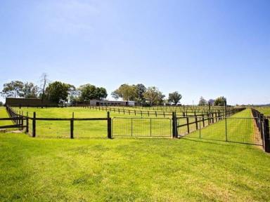 Commercial Farming For Lease - NSW - Freemans Reach - 2756 - SUPERB EQUESTRIAN COMPLEX FOR LEASE - LONG LEASE AVAILABLE  (Image 2)