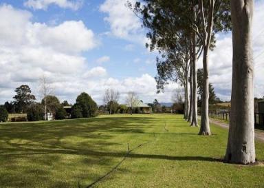 Commercial Farming For Lease - NSW - Freemans Reach - 2756 - SUPERB EQUESTRIAN COMPLEX FOR LEASE - LONG LEASE AVAILABLE  (Image 2)