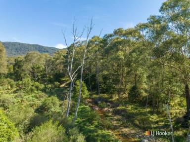 House For Sale - NSW - Bemboka - 2550 - WHERE NATURE MEETS SERENITY!  (Image 2)