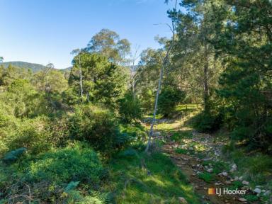 House For Sale - NSW - Bemboka - 2550 - WHERE NATURE MEETS SERENITY!  (Image 2)