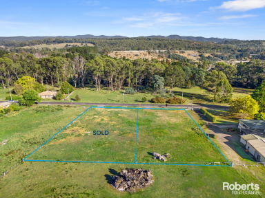 Residential Block For Sale - TAS - Railton - 7305 - Lifestyle Block of Land in the Sought After Railton Area  (Image 2)