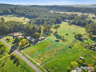 Residential Block For Sale - TAS - Railton - 7305 - Lifestyle Block of Land in the Sought After Railton Area  (Image 2)