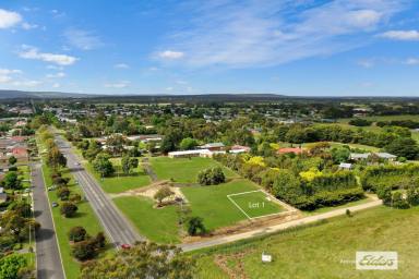 Residential Block For Sale - VIC - Yarram - 3971 - BUILD YOUR HOME ON THE OUTSKIRTS OF YARRAM  (Image 2)