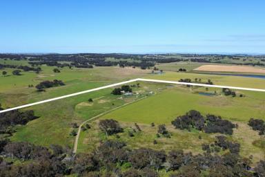 Lifestyle Sold - NSW - Lyndhurst - 2797 - FAMILY HOME ON 37AC* + VACANT 40AC* (BUY ONE OR BOTH 77AC*)  (Image 2)