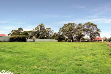 Residential Block For Sale - VIC - Alberton - 3971 - Prime Residential Land - Your Canvas for Creativity!  (Image 2)