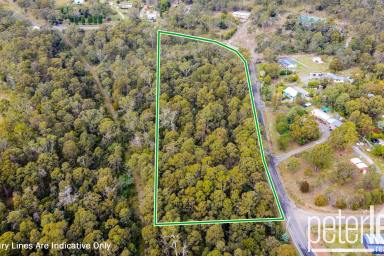 Residential Block For Sale - TAS - Hillwood - 7252 - Five acre block in Hillwood  (Image 2)