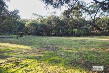 Residential Block Sold - VIC - Ararat - 3377 - Large approx 1 acre block in the desired west end  (Image 2)