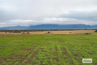 Cropping For Sale - VIC - Moyston - 3377 - 'Herbertsons' 597 Acres Cropping/Grazing - Moyston/Willaura District  (Image 2)