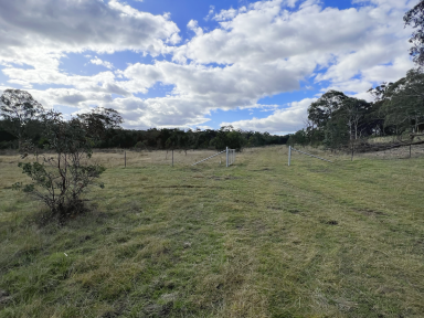 Other (Rural) For Sale - NSW - Marulan - 2579 - 120 ACRES, FRONTAGE TO JERRARA ROAD, DAM, CLOSE TO ALL AMENITIES, IDEAL RECREATIONAL WEEKENDER PROPERTY  (Image 2)