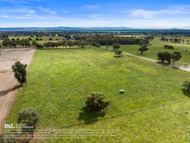 Other (Rural) Sold - NSW - Cowra - 2794 - In A Class of It&apos;s Own – Equine, stud stock or simply a rural lifestyle opportunity - 37.12 Acres  (Image 2)