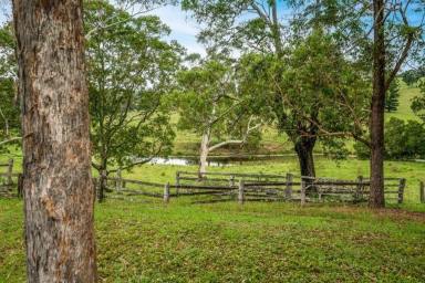 Lifestyle For Sale - QLD - Veteran - 4570 - ENDLESS POTENTIAL  (Image 2)
