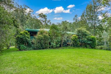 House Sold - NSW - Bandon Grove - 2420 - Leafy Serenity  (Image 2)