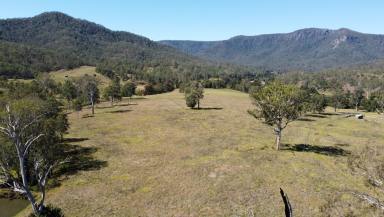 Livestock For Sale - NSW - Drake - 2469 - Water Is Life  (Image 2)