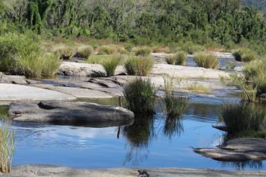 Livestock For Sale - NSW - Drake - 2469 - Water Is Life  (Image 2)