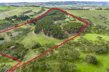 Other (Rural) For Sale - SA - Torrens Vale - 5203 - ***New Price $1,500,000*** - Amazing Opportunity at this Price  (Image 2)