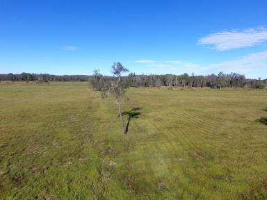 Mixed Farming For Sale - NSW - Marom Creek - 2480 - MIXED FARMING - CLOSE TO THE COAST  (Image 2)
