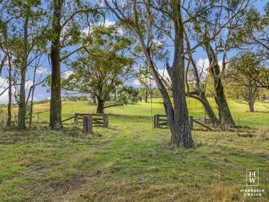 Lifestyle Sold - NSW - Canyonleigh - 2577 - Southern Highlands Rural Lifestyle Opportunity  (Image 2)