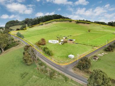 Lifestyle For Sale - TAS - North Motton - 7315 - Rich Fertile Land Ripe for the Picking  (Image 2)