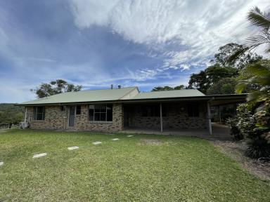 House Leased - QLD - Yandina - 4561 - Family, horse and pet friendly. Magic spot only minutes from Yandina Shopping Center. In ground swimming pool  (Image 2)