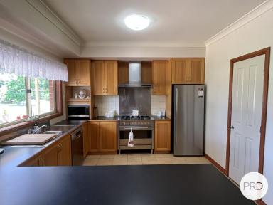 House For Lease - NSW - North Albury - 2640 - UNIQUE PROPERTY!  (Image 2)